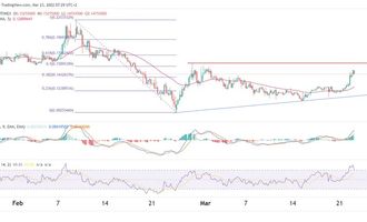 Radix Preisprognose 23.03.22