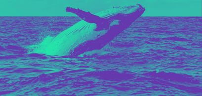 Ethereum Plus Token Whale Alarm - Gefahr eines 100.000.000 USD Dump?