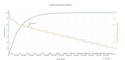 Bitcoin Kurs Inflation