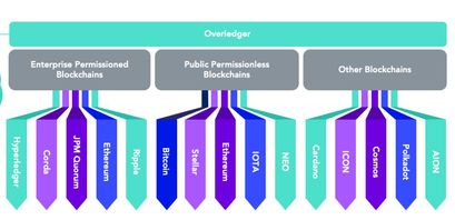 Quant Network QNT Funktion