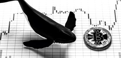 Bitcoin Whale Update: 856.000 BTC Transaktion auf Coinbase zurückzuführen