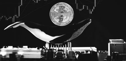 600.000 Bitcoin - Wale bewegen Crypto
