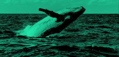 Ripple Whale Alarm: Ripple Wale bewegen über 1 Mrd. XRP