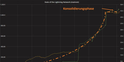 Chart, der den Verlauf des Bitcoin Lightning Netzwerk zeigt