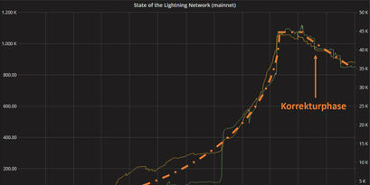 Chart, der den Verlauf des Bitcoin Lightning Netzwerk zeigt