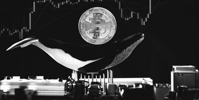 Bitcoin Whale Alarm: Bitcoin Wal soll 848.000 BTC bewegt haben