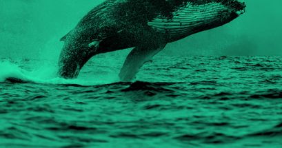 Ethereum Gasgebühren drängen Kleinanleger ins Abseits während Whales profitieren
