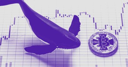 Bitcoin Whale Alarm: Whale transferiert 60 Mio. $ in BTC auf Bitfinex – Dump Gefahr?