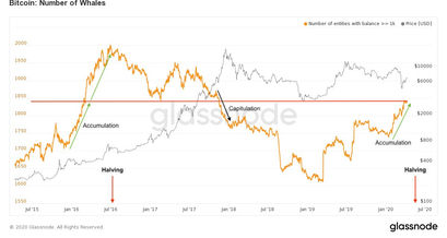Bitcoin Kurs und Whales