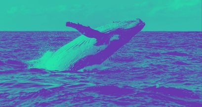 Ethereum Plus Token Whale Alarm - Gefahr eines 100.000.000 USD Dump?