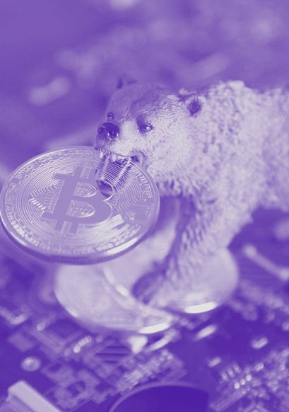 Bitcoin Bullrun in seiner finalen Phase und warum eine Rückkehr auf 23.000$ ein wahrscheinliches Szenario ist