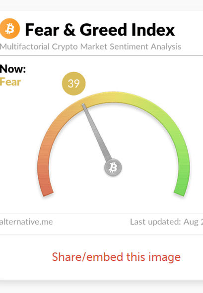 Der Bitcoin Fear und Greed Index als Indikator